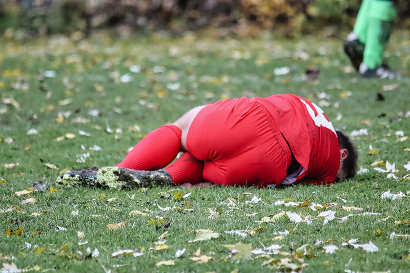 Wie kann ich die Verhaltens-KI für meine WM Wetten nutzen?